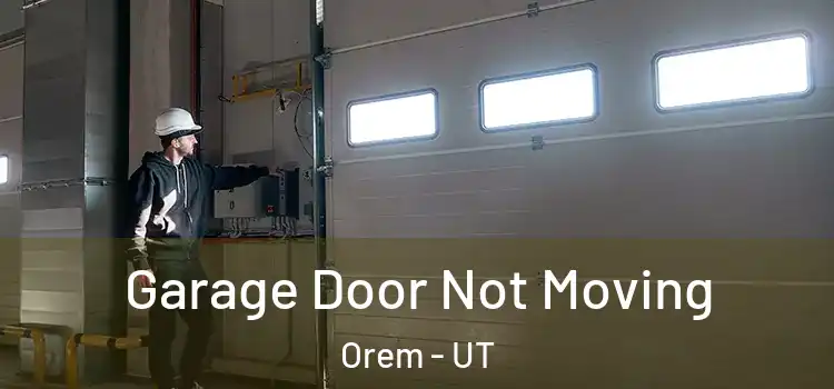  Garage Door Not Moving Orem - UT