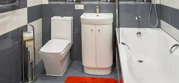 Hansgrohe Shaving Mirror Orem